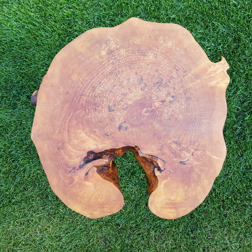 TABLE OF MASSIVE ALDER SP350